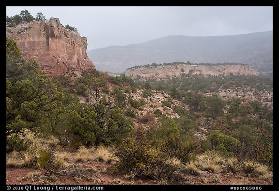 Sandstone cliffs in rain. Canyon of the Ancients National Monument, Colorado, USA (color)