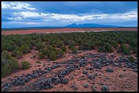 Aerial view of flats and Ute Mountain, evening. Canyon of the Ancients National Monument, Colorado, USA ( color)