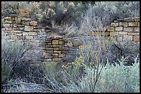 Partly excavated wall of Lower House. Yucca House National Monument, Colorado, USA ( color)
