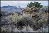Yucca House and Mesa Verde. Yucca House National Monument, Colorado, USA ( color)