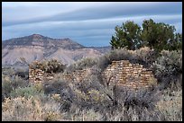 Lower House wall with Mesa Verde in background. Yucca House National Monument, Colorado, USA ( color)