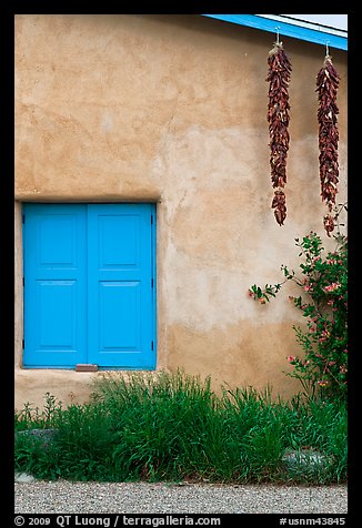 Ristras hanging from roof with blue shutters. Taos, New Mexico, USA