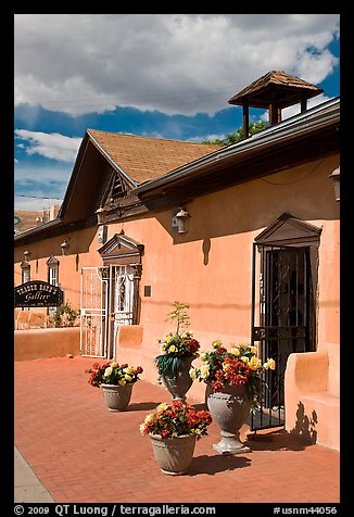 Potted flowers and gallery, old town. Albuquerque, New Mexico, USA (color)
