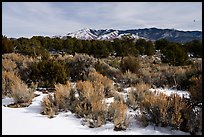 Cebolla Mesa and Sangre De Cristo Mountains in winter. Rio Grande Del Norte National Monument, New Mexico, USA ( color)