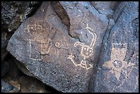 Petroglyphs including a star person, Petroglyph National Monument. New Mexico, USA ( color)