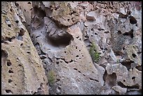 Volcanic tuff cliff with multitude of caves. Bandelier National Monument, New Mexico, USA ( color)