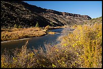 Shrubs in autum foliage and cliffs, Orilla Verde. Rio Grande Del Norte National Monument, New Mexico, USA ( color)