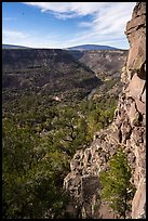 Volcanic cliff, Upper River Gorge and Ute Mountain. Rio Grande Del Norte National Monument, New Mexico, USA ( color)
