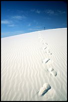 Footprints. White Sands National Park ( color)