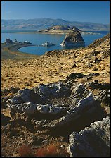 Tufa rock and pyramid. Pyramid Lake, Nevada, USA (color)