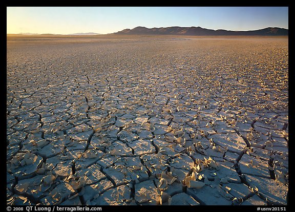 Peeling dried mud, sunrise, Black Rock Desert. USA (color)
