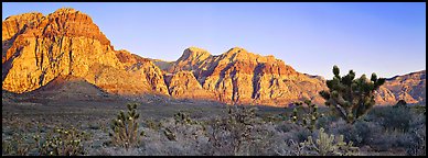 Desert cliffs. Red Rock Canyon, Nevada, USA (Panoramic color)