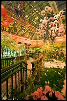 Botanical garden and conservatory with green light, Bellagio Casino. Las Vegas, Nevada, USA ( color)