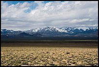Sagebrush flats and snowy mountains. Basin And Range National Monument, Nevada, USA ( color)