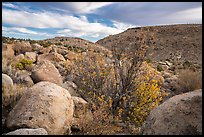 Boulder-covered slopes and shrubs in autumn foliage, Shooting Gallery. Basin And Range National Monument, Nevada, USA ( color)