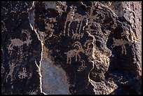 Sheep petroglyphs and light, Shooting Gallery. Basin And Range National Monument, Nevada, USA ( color)