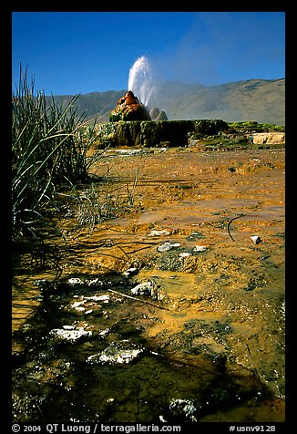 Fly Geyser, Black Rock Desert. Nevada, USA (color)