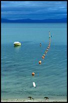 Two birds, buoy line and boat, South Lake Tahoe, California. USA (color)