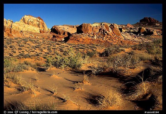 Sand ripples and rock formations, Valley of Fire State Park. Nevada, USA (color)