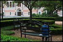 Man reading on bench, Rice University. Houston, Texas, USA ( color)