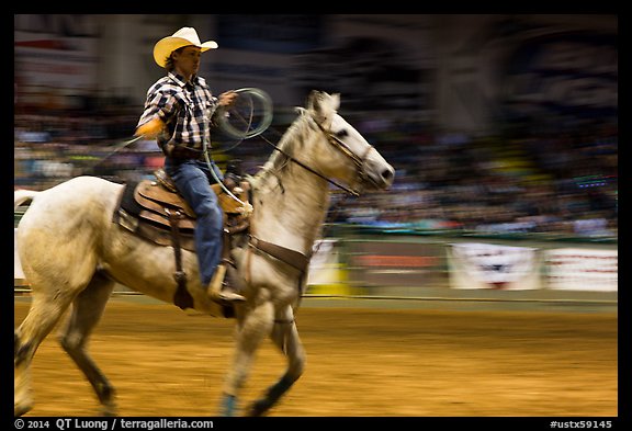 Rodeo contestant riding horse. Fort Worth, Texas, USA (color)