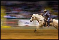 Woman on galloping horse, Stokyards Championship Rodeo. Fort Worth, Texas, USA ( color)