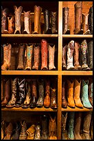Cowboy boots for sale. Fort Worth, Texas, USA ( color)