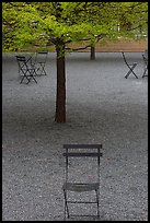 Chairs and trees in courtyard of Dallas Museum of Art. Dallas, Texas, USA ( color)