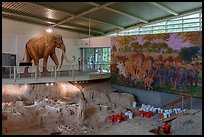 Dig shelter with life-size mammoth painting. Waco Mammoth National Monument, Texas, USA ( color)