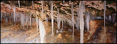 Ice stalactites under overhang. Utah, USA (Panoramic color)