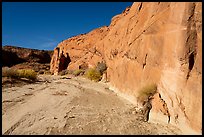 Coyote Gulch dry creek bed. Grand Staircase Escalante National Monument, Utah, USA ( color)