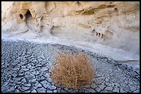 Wash with cracked mud, tumbleweed, and cliff. Grand Staircase Escalante National Monument, Utah, USA ( color)