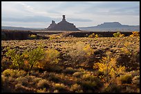 Autumn foliage and spires, Valley of the Gods. Bears Ears National Monument, Utah, USA ( color)