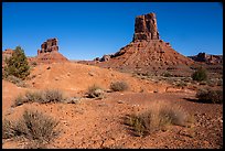 Sandstone buttes in Valley of the Gods. Bears Ears National Monument, Utah, USA ( color)