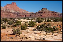 Slickrock and buttes, Soldiers Crossing. Bears Ears National Monument, Utah, USA ( color)