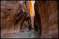 Paria River flowing in glowing slot canyon. Vermilion Cliffs National Monument, Arizona, USA ( color)