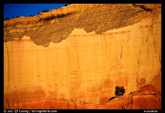Red cliffs of Entrada sandstone, sunset, Kodachrome Basin State Park. Utah, USA (color)
