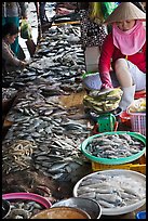Fish for sale at public market, Duong Dong. Phu Quoc Island, Vietnam ( color)
