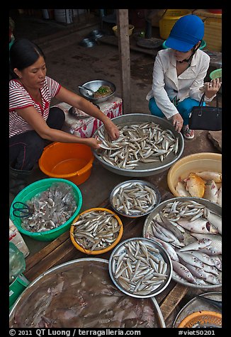 Customer purchasing fish at market, Duong Dong. Phu Quoc Island, Vietnam (color)