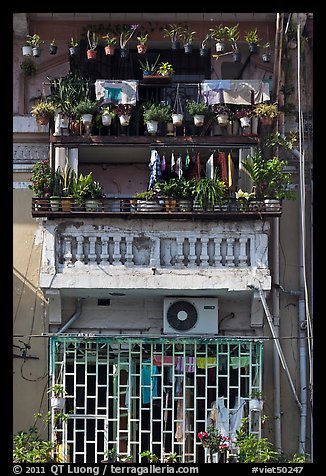 Windows with potted plants and laundry. Ho Chi Minh City, Vietnam