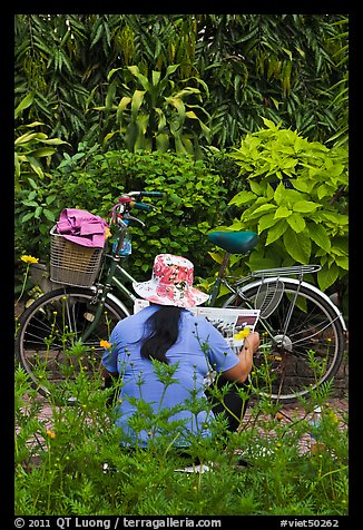 Woman reading newspaper next to bicycle in park. Ho Chi Minh City, Vietnam