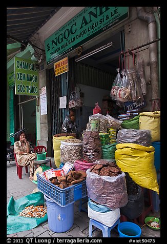 Traditional herb shop. Cholon, Ho Chi Minh City, Vietnam