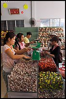 Women packing coconut candy for sale. Ben Tre, Vietnam