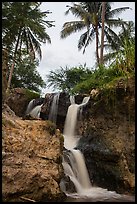 Waterfall flowing under palm trees, Fairy Stream. Mui Ne, Vietnam (color)