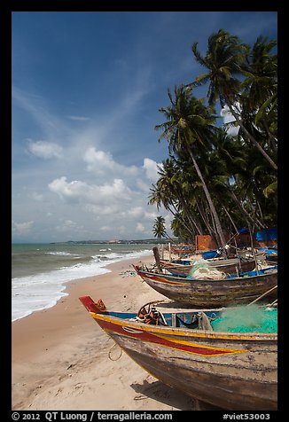 Palm-fringed beach with fishing boats. Mui Ne, Vietnam