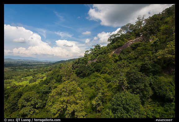 Hillside covered in verdant vegetation. Ta Cu Mountain, Vietnam