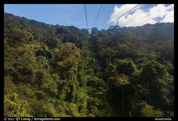 Tropical forest seen from cable car. Ta Cu Mountain, Vietnam