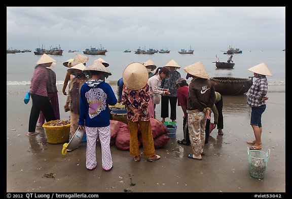 Women gathered on beach around fresh catch. Mui Ne, Vietnam