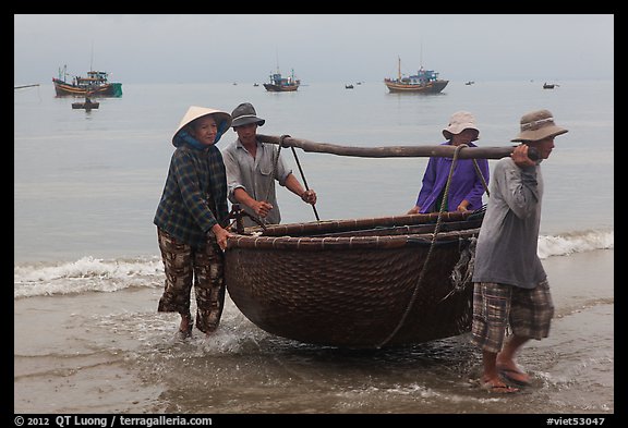 Fishermen carry round woven boat to shore. Mui Ne, Vietnam (color)