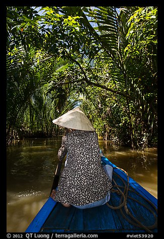 Woman rowing boat under jungle canopy, Phoenix Island. My Tho, Vietnam